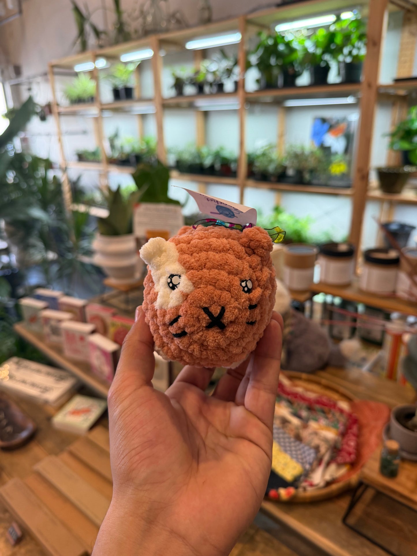 Crochet Latte Cat