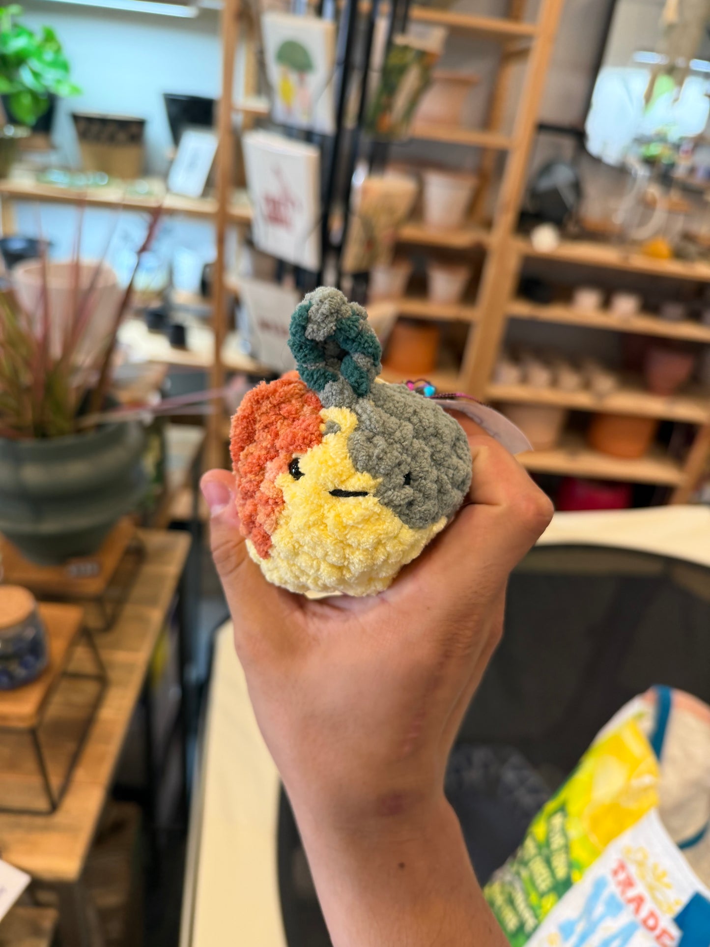 Crochet Mango Cat