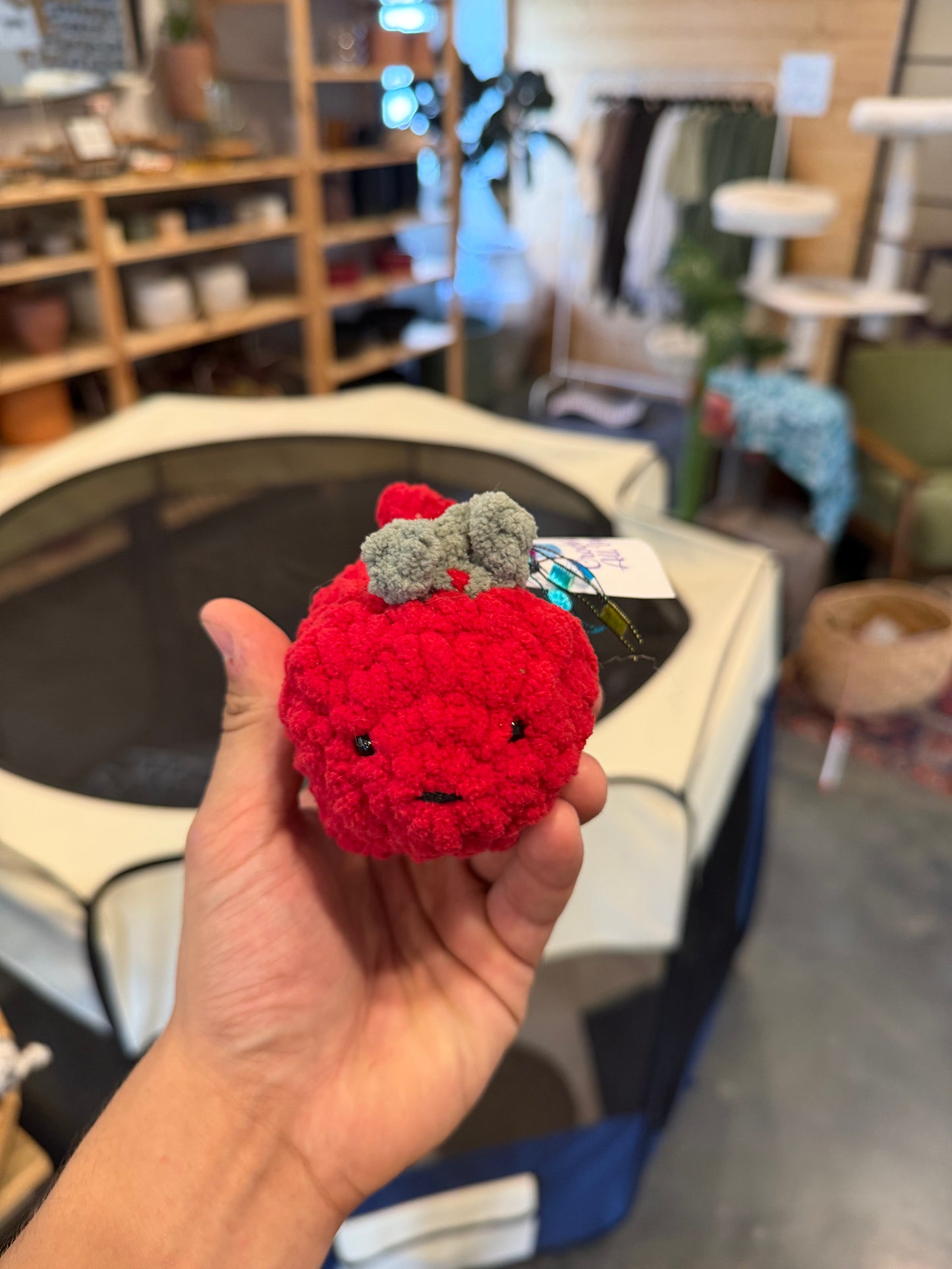 Crochet Apple Cat