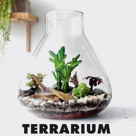 Terrarium